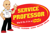 service professor